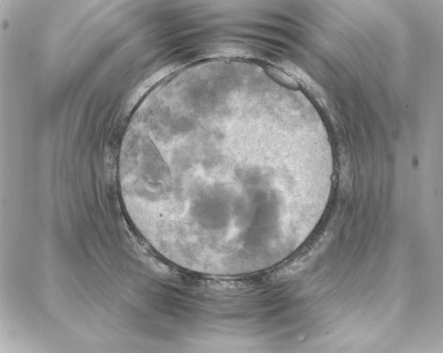 X0000087750945200706041058