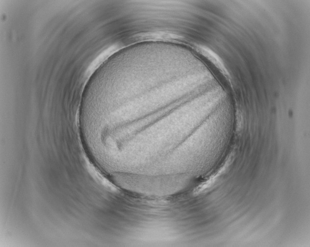 X0000087750946200706041058