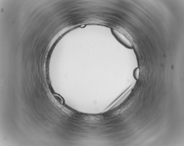 X0000087750947200706041058