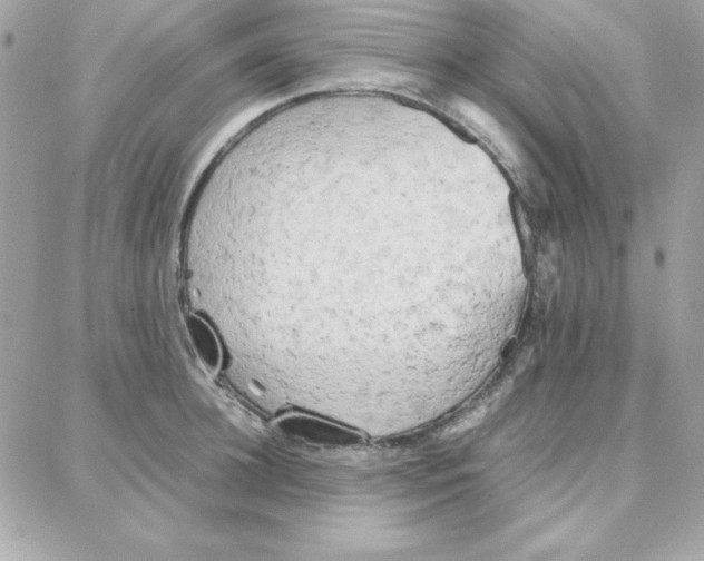 X0000087750948200706041058