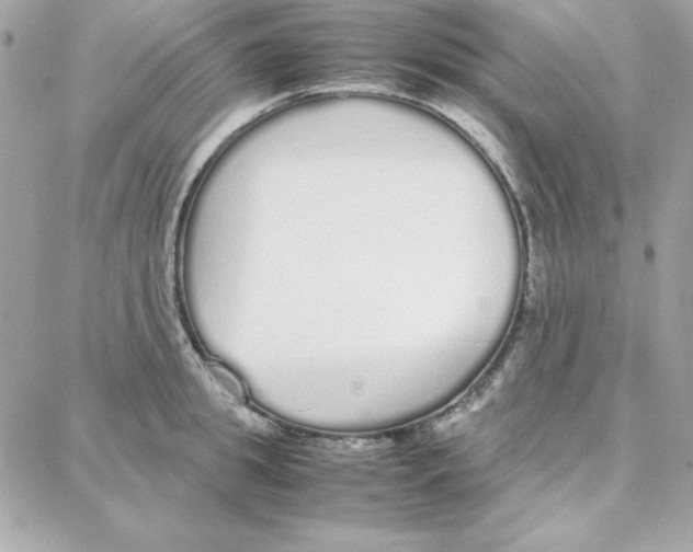 X0000087750949200706041058