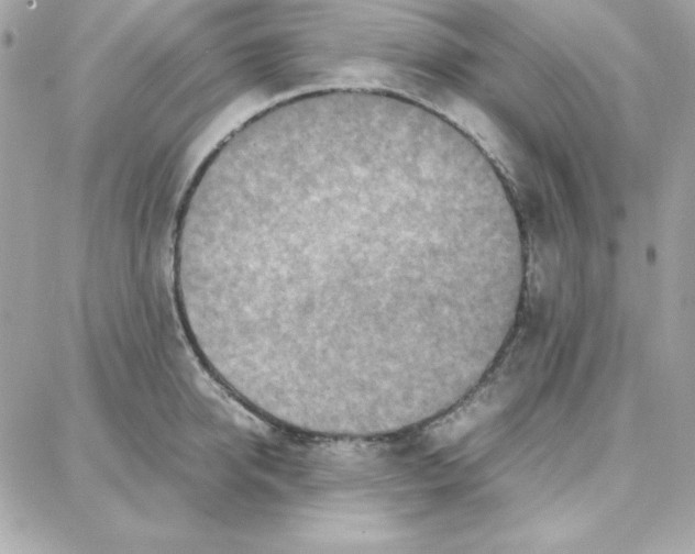 X0000087750950200706041058