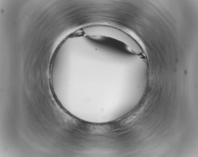 X0000087750951200706041058