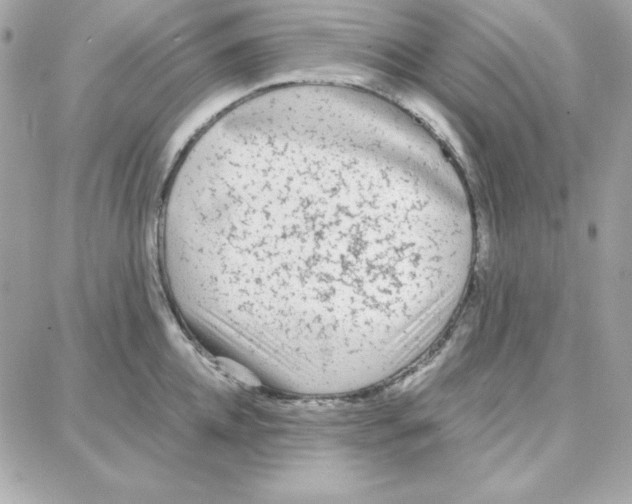 X0000087750952200706041058