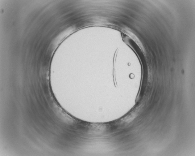 X0000087750954200706041058