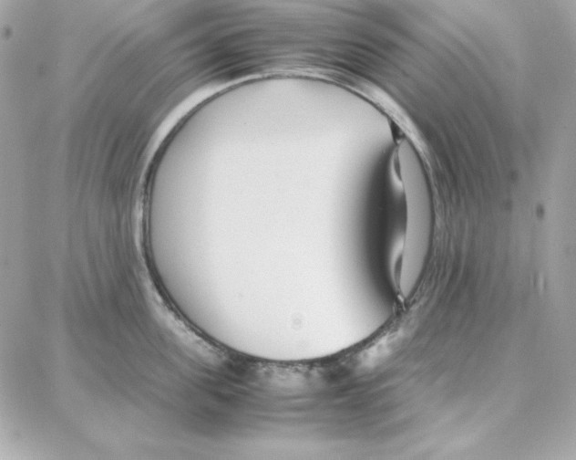 X0000087750955200706041058