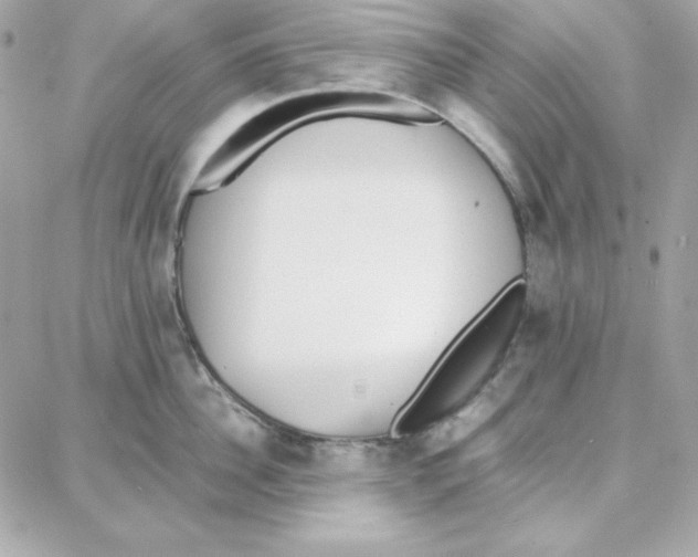 X0000087750956200706041058