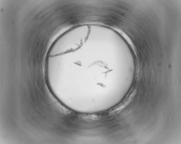 X0000087750957200706041058