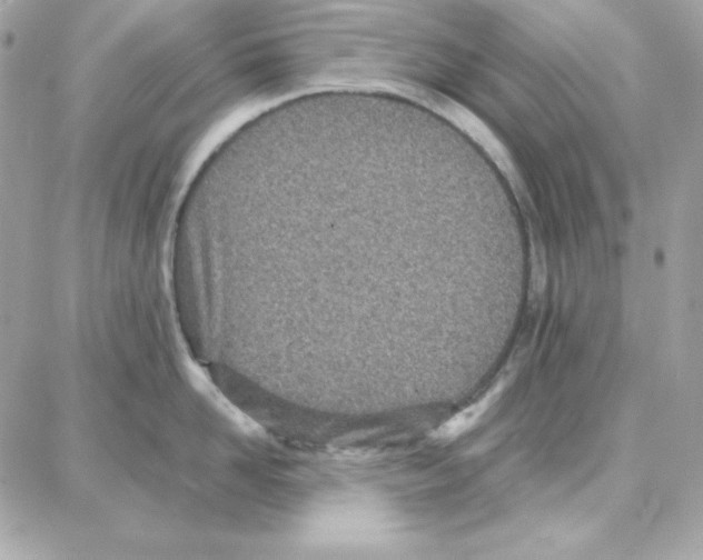 X0000087750958200706041058