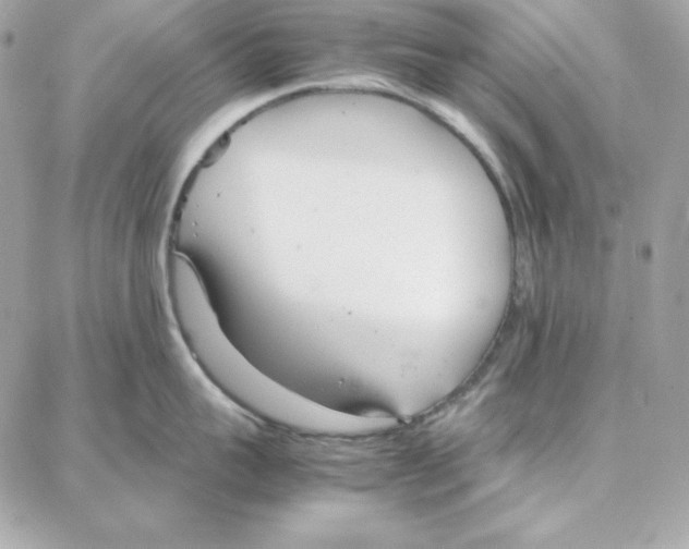 X0000087750959200706041058