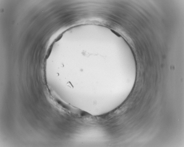 X0000087750960200706041058