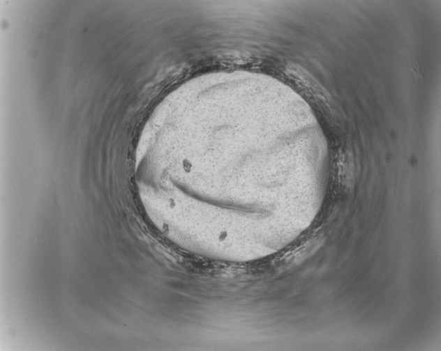 X0000087750961200706041057