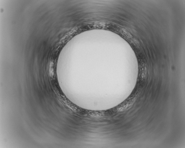 X0000087750962200706041057