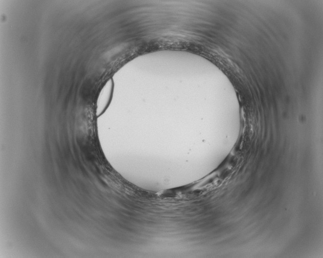 X0000087750964200706041057