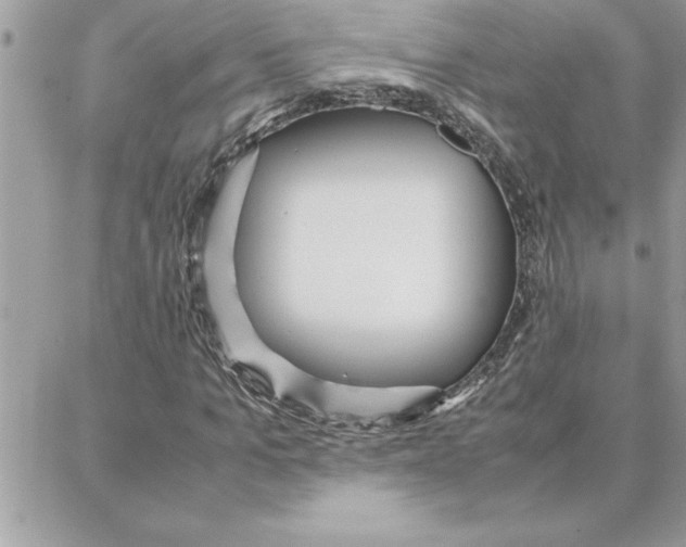 X0000087750965200706041057