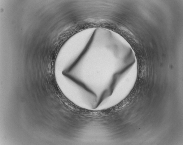 X0000087750966200706041057