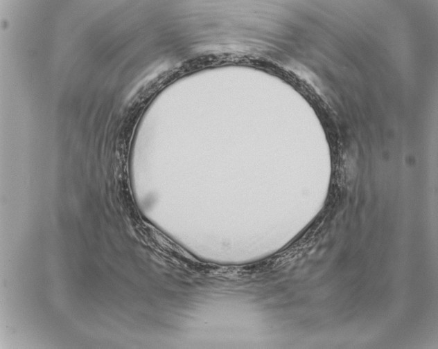 X0000087750967200706041057