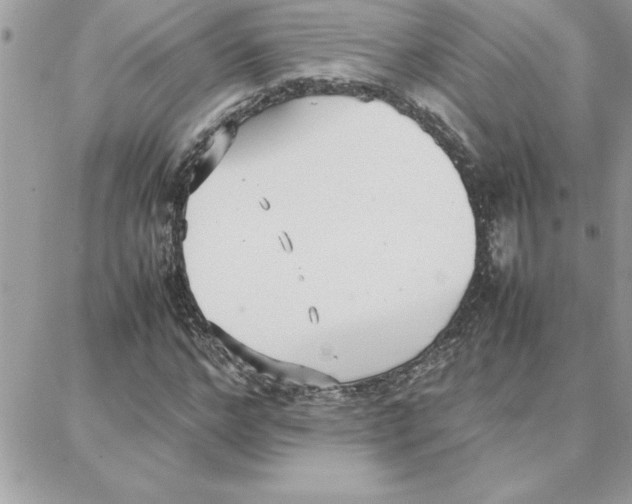 X0000087750968200706041057