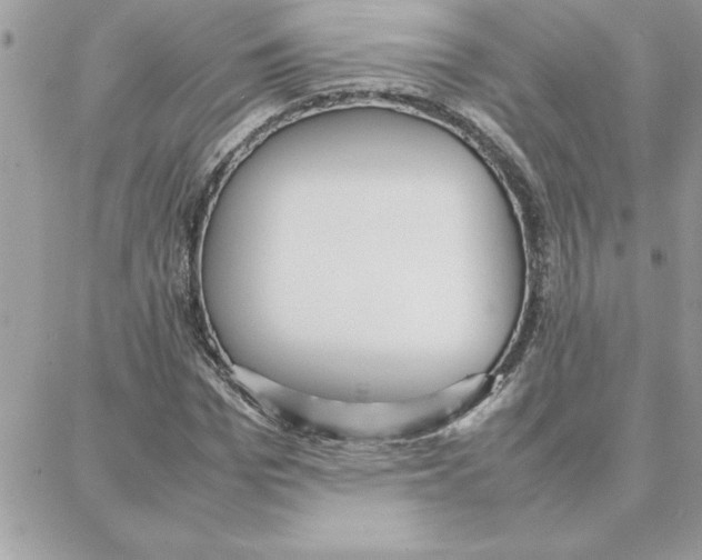 X0000087750969200706041057