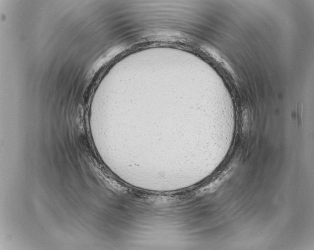 X0000087750970200706041057