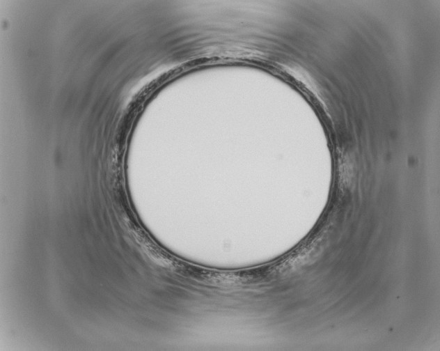 X0000087750971200706041057