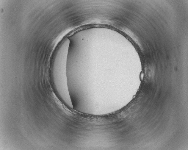 X0000087750972200706041057