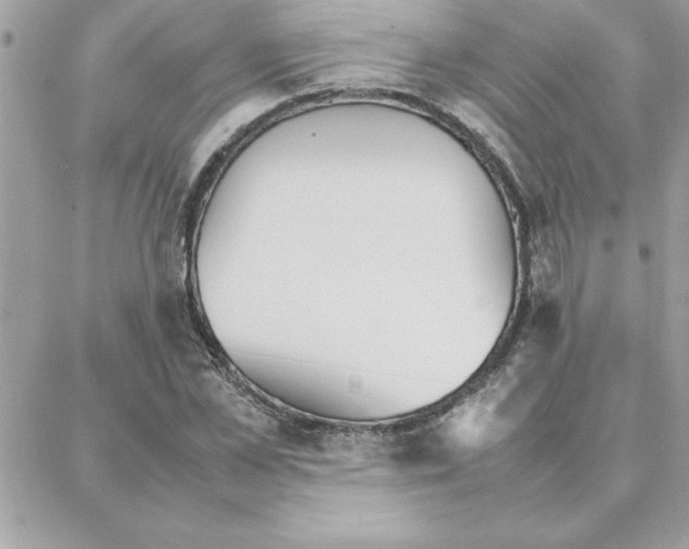 X0000087750973200706041057