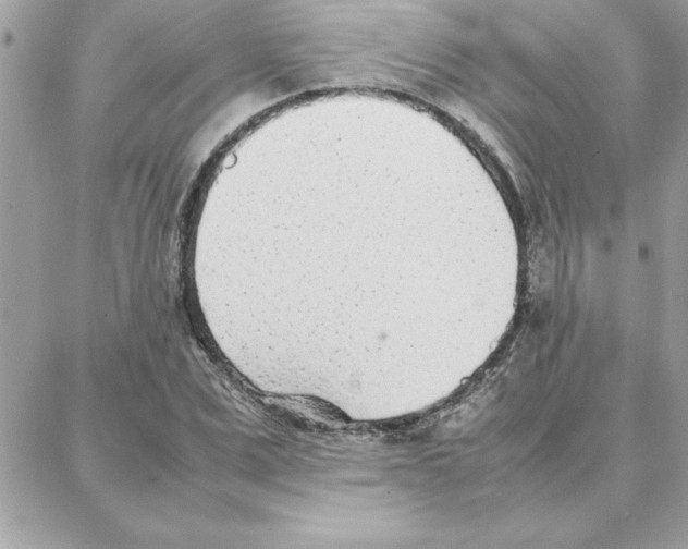 X0000087750975200706041057