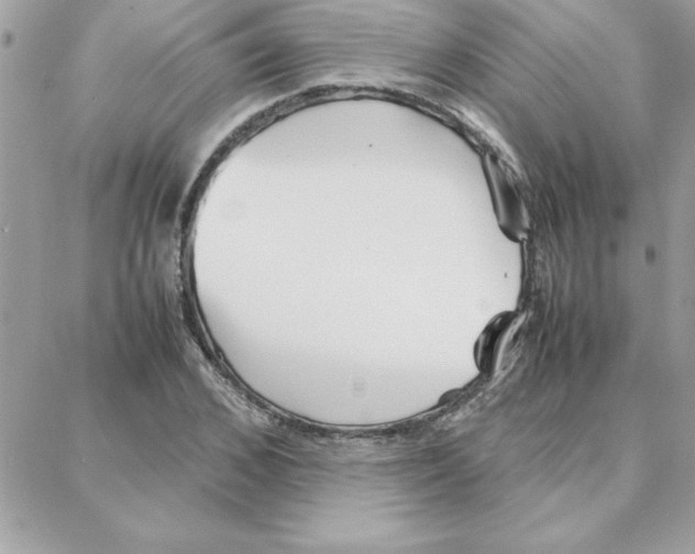 X0000087750976200706041057