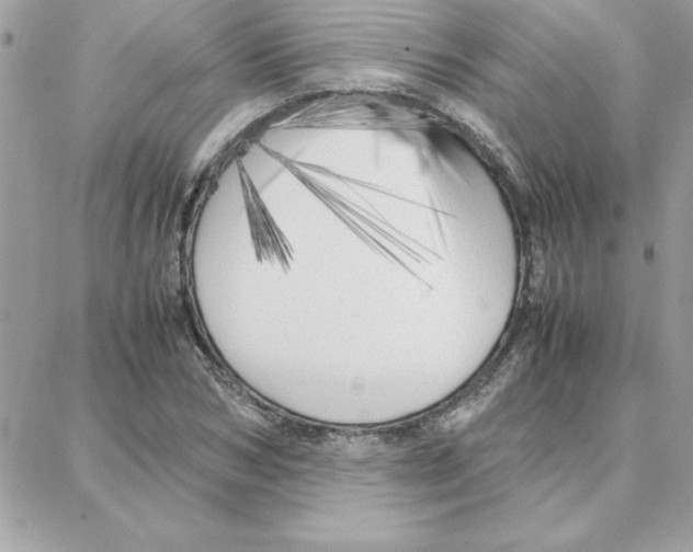 X0000087750978200706041057