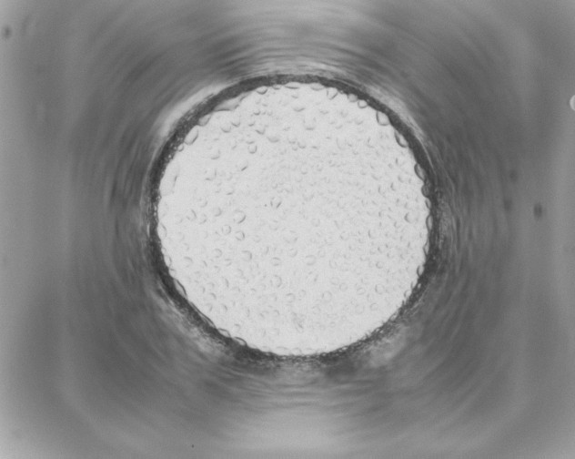 X0000087750979200706041057