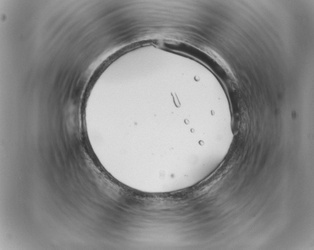 X0000087750980200706041057