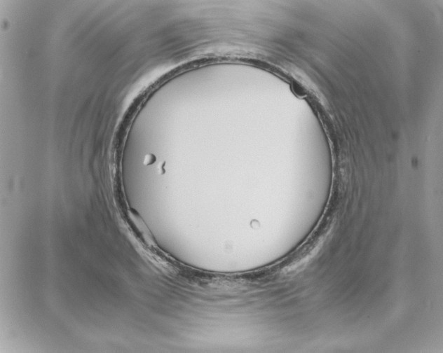 X0000087750981200706041057