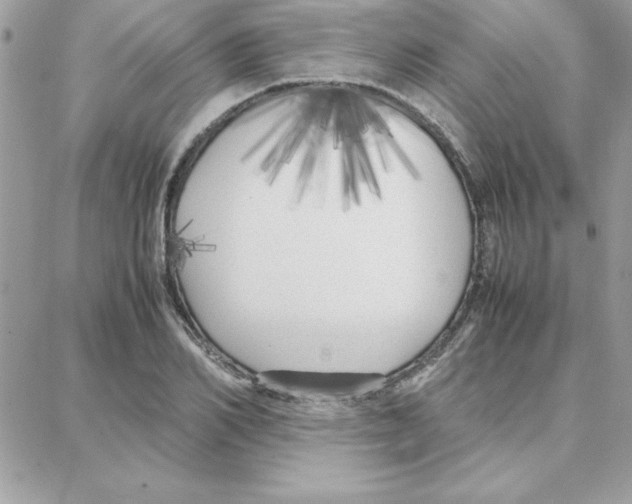 X0000087750982200706041057