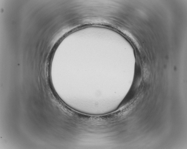 X0000087750983200706041057