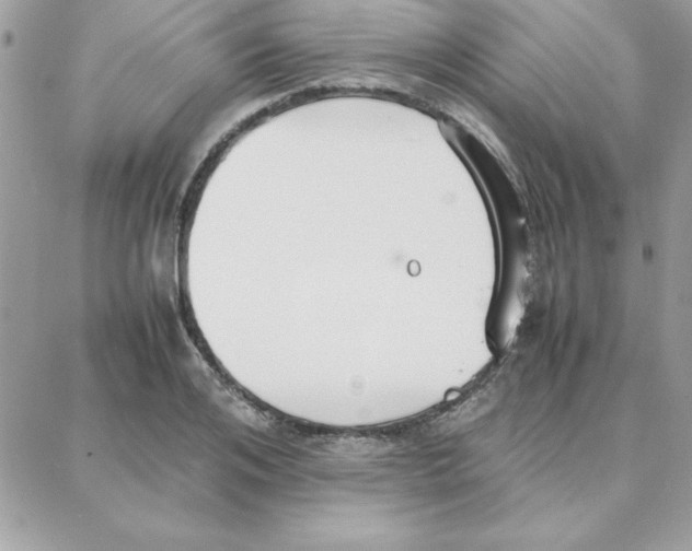 X0000087750984200706041057