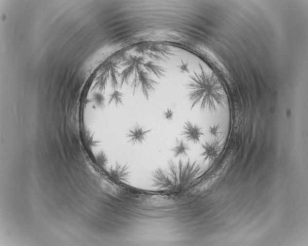 X0000087750986200706041057