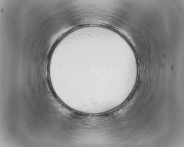 X0000087750987200706041057