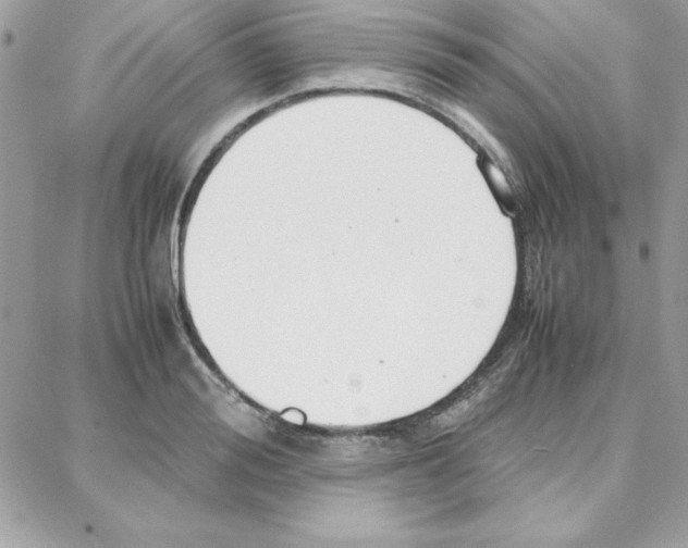 X0000087750988200706041057