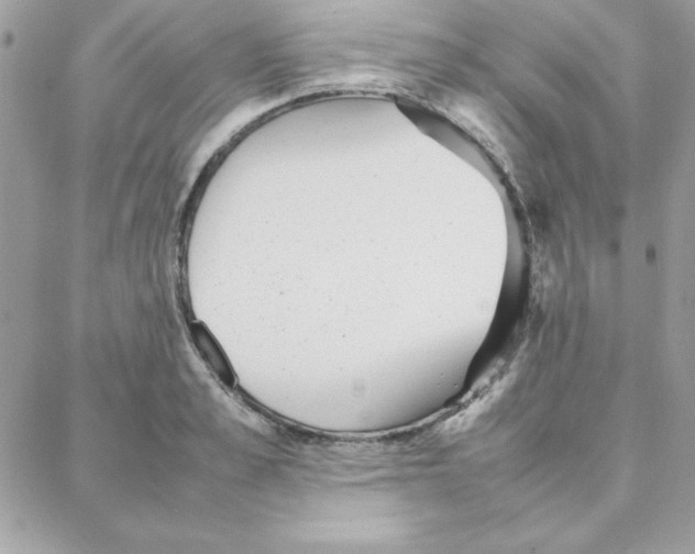 X0000087750989200706041057