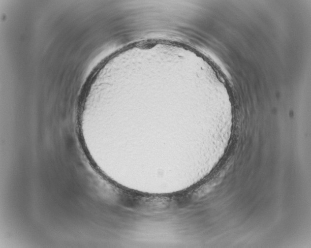 X0000087750991200706041057