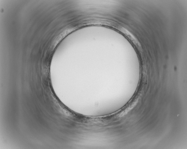 X0000087750993200706041057