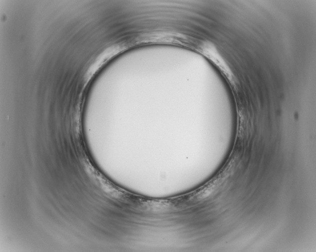 X0000087750994200706041057