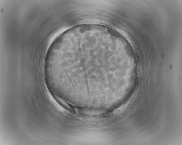 X0000087750995200706041057