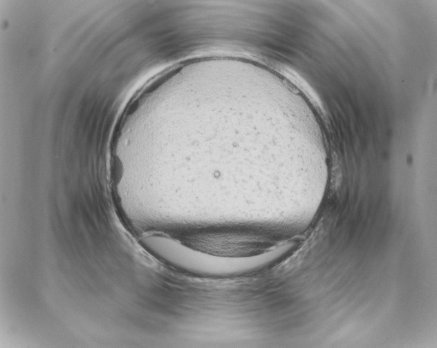 X0000087750996200706041057