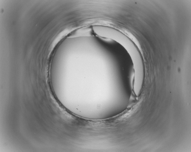 X0000087750997200706041057