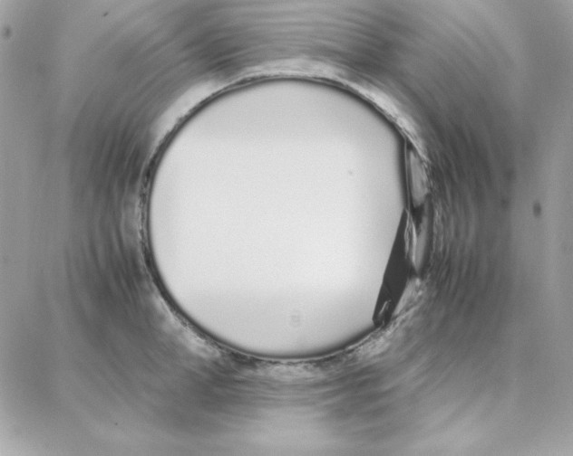 X0000087750998200706041057