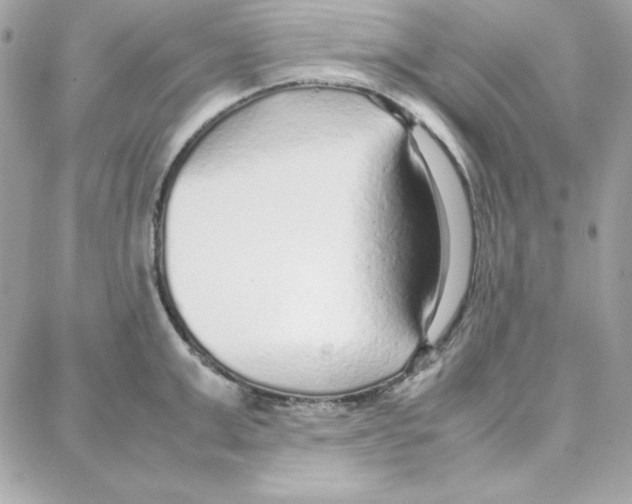 X0000087750999200706041057