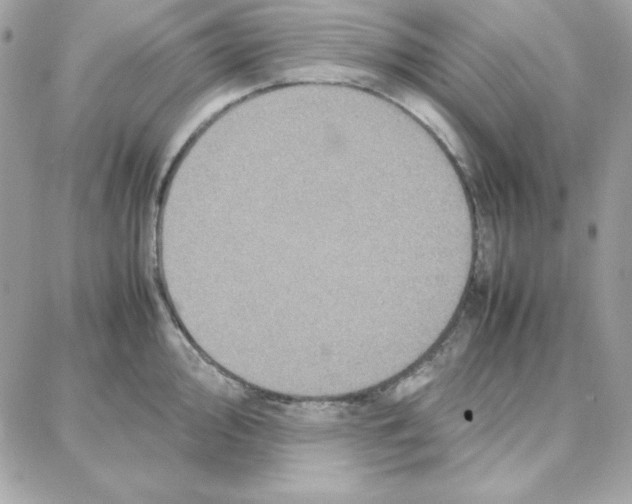 X0000087751000200706041057