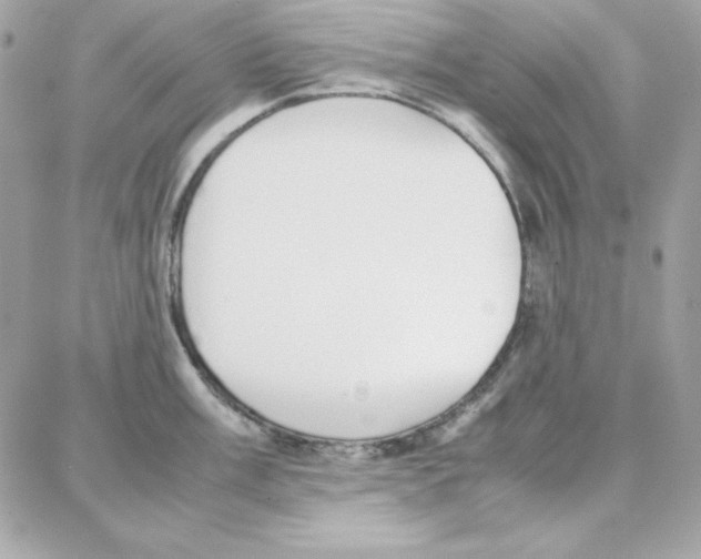 X0000087751003200706041057